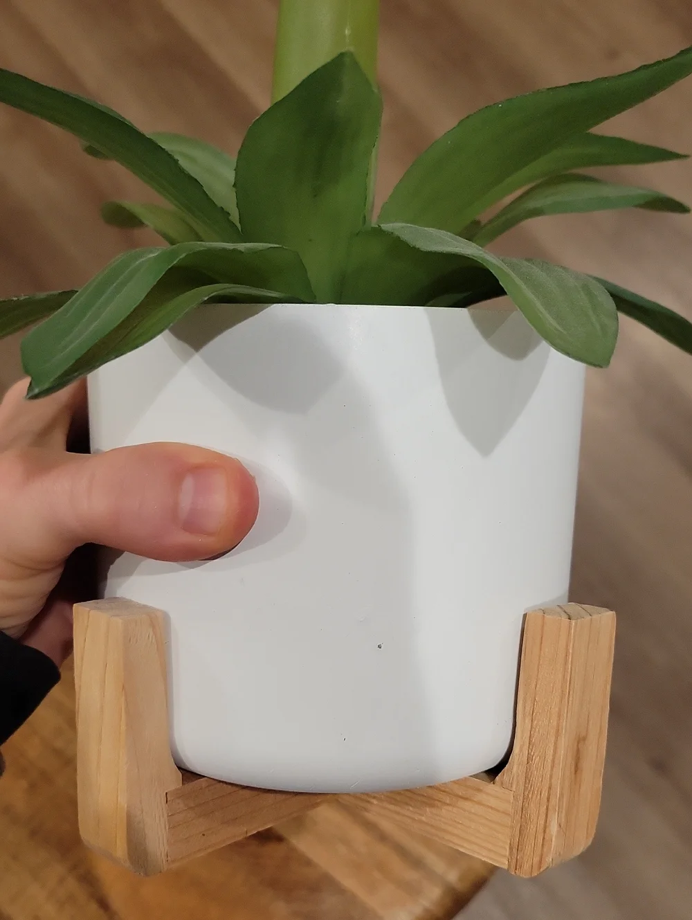 Pier 1 Faux Plant In White Planter